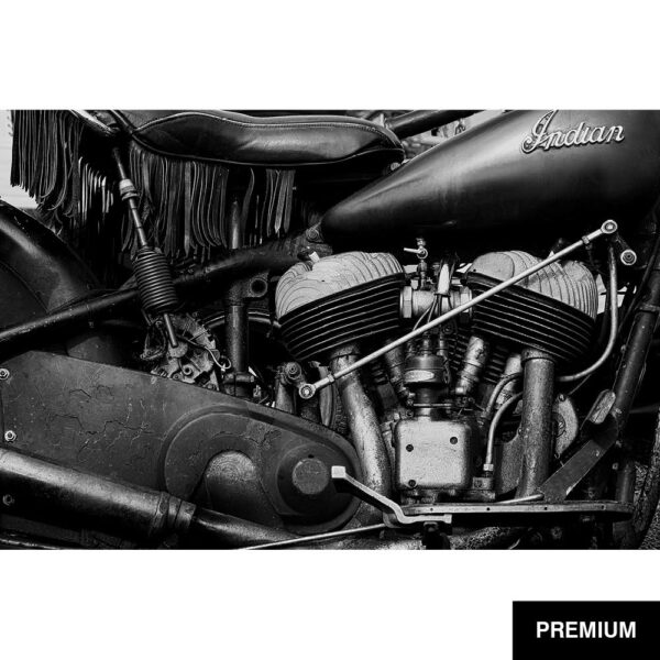 Wilko van Oostrum #41 | 1946 Indian Chief 1200cc, Daytona, Fotografie