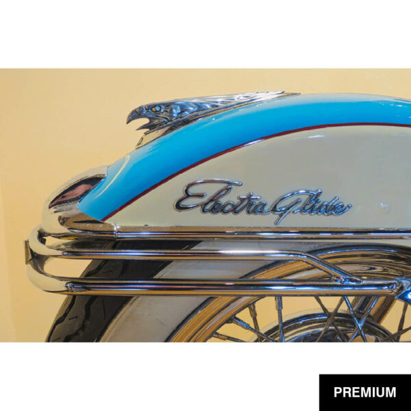 Wilko van Oostrum #45 | 1965 Electra Glide Harley Davidson, Ormond Beach, Fotografie