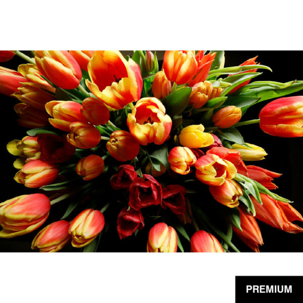 Wilko van Oostrum #81 | Tulpen bouquet of triumph tulips, Detail, Fotografie