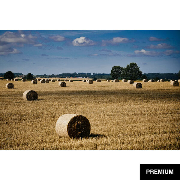 Wilko van Oostrum #84 | Landschaftsimpression Kühlungsborn, Fotografie