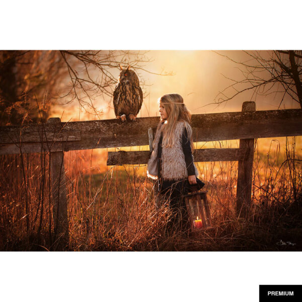 Bella Steger #1 | Ilvy mit Uhu Navajo, Fotografie