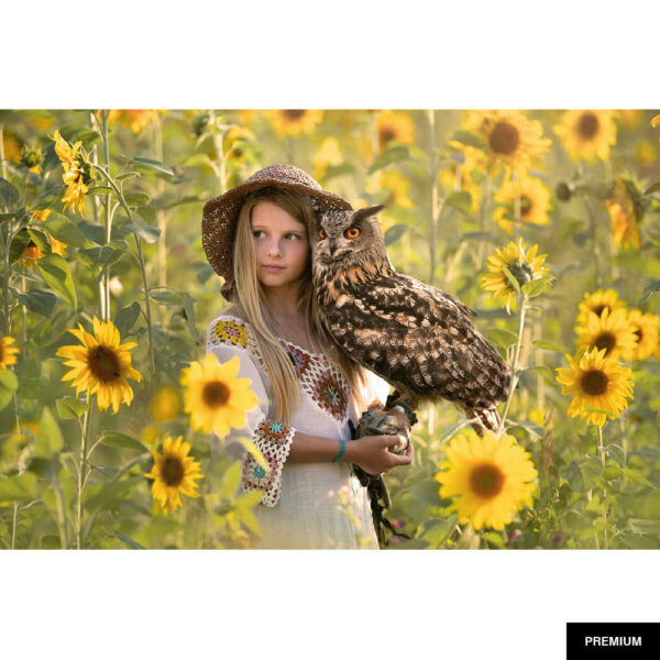 Bella Steger #2 | Ilvy, Uhu Navajo, Sonnenblummenfeld, Fotografie