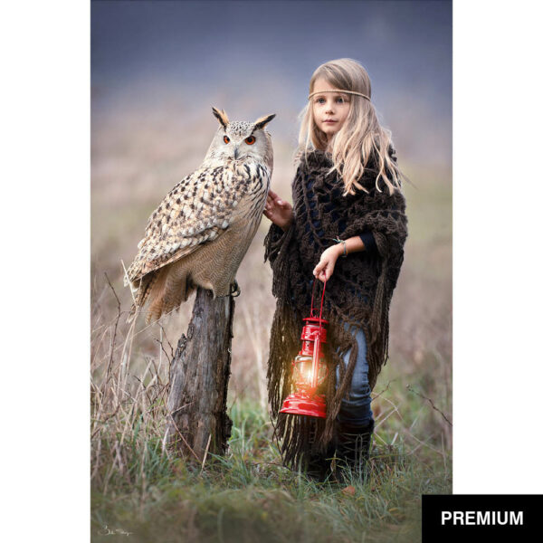 Bella Steger #7 | Ilvy mit Uhu Antares im Feld, Fotografie