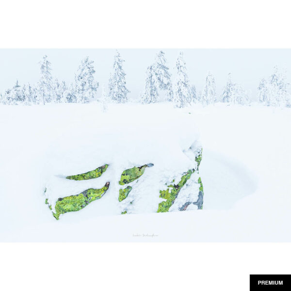 Lukas Schäfer #12 | Winterlandschaft 1, Fotografie