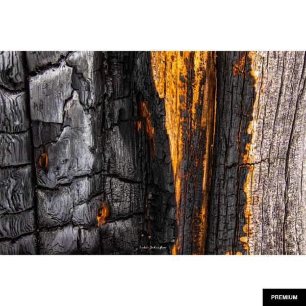Fotografie von Lukas Schäfer #13 "Detail Holz/Feuer"