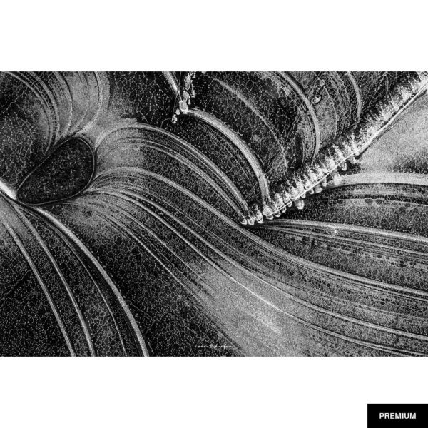 Fotografie von Lukas Schäfer #25 "Detail Stein 3"