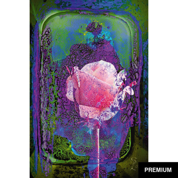 Ole Spannagel #10 | My Rose; digitale Collage