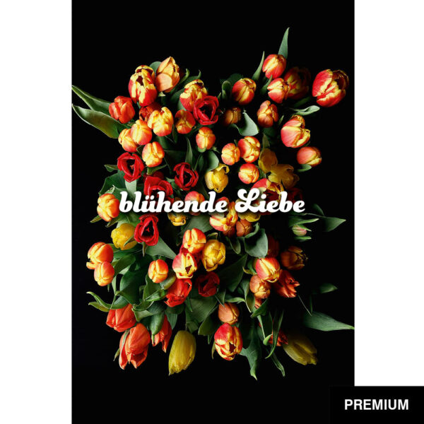 Wilko van Oostrum #88 | Strauß Triumpftulpen, Fotografie, Valentinstag