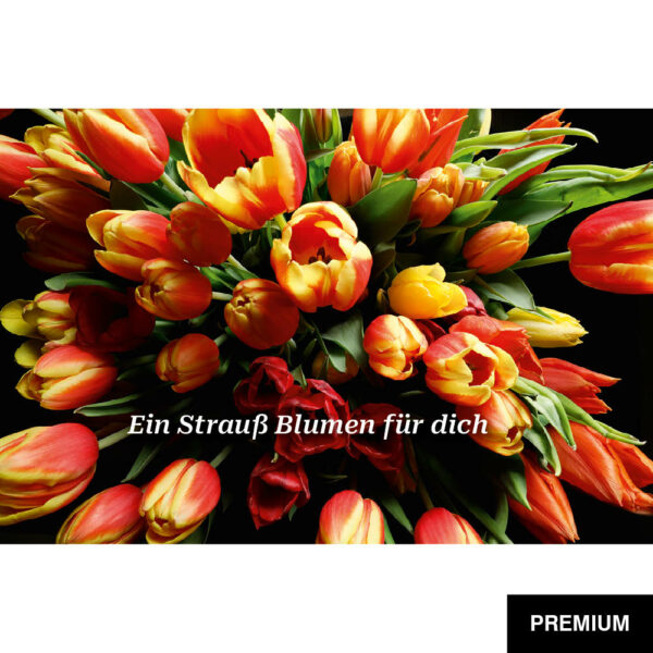 Wilko van Oostrum #97 | Tulpen bouquet of triumph tulips, Detail, Fotografie, Valentinstag
