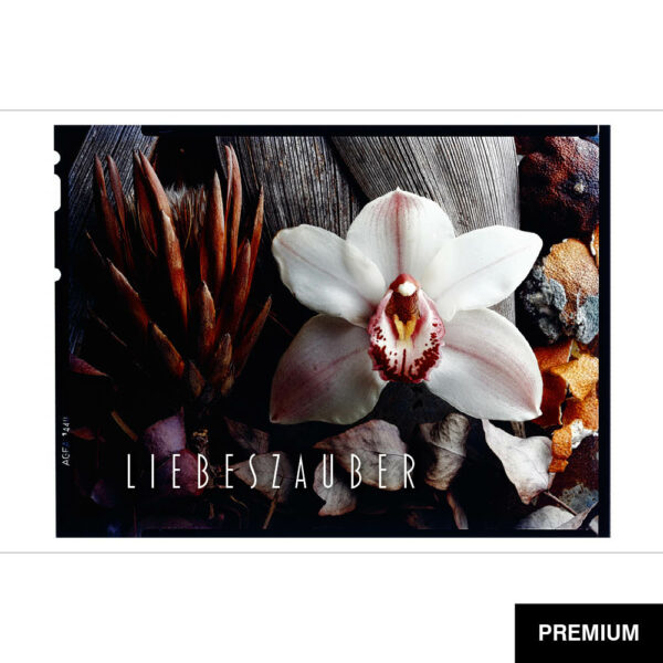 Wilko van Oostrum #89 | Orchidee auf Holz, Fotografie (Film), Valentinstag