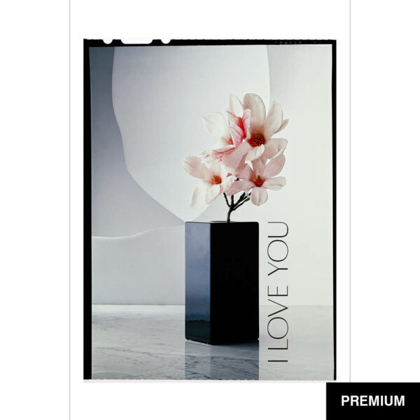 Wilko van Oostrum #92 | Magnolie, Fotografie (Film), Valentinstag