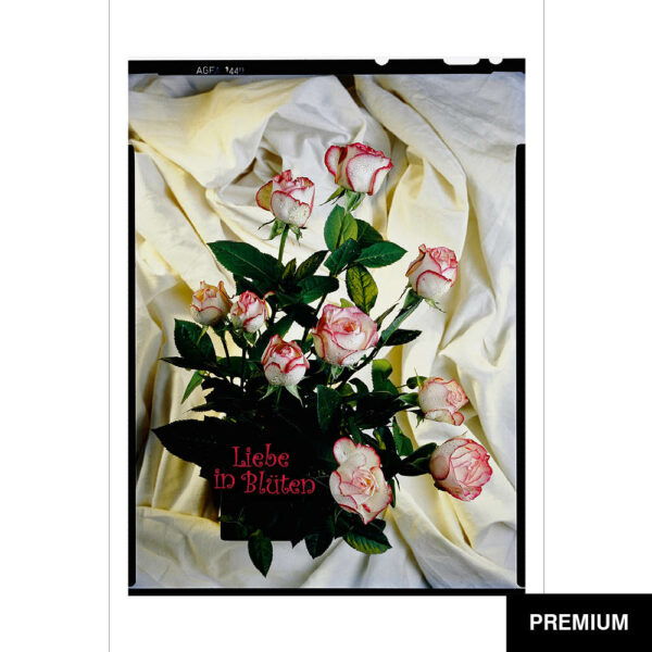 Wilko van Oostrum #94 | Rosenbouquet, Fotografie (Film), Valentinstag