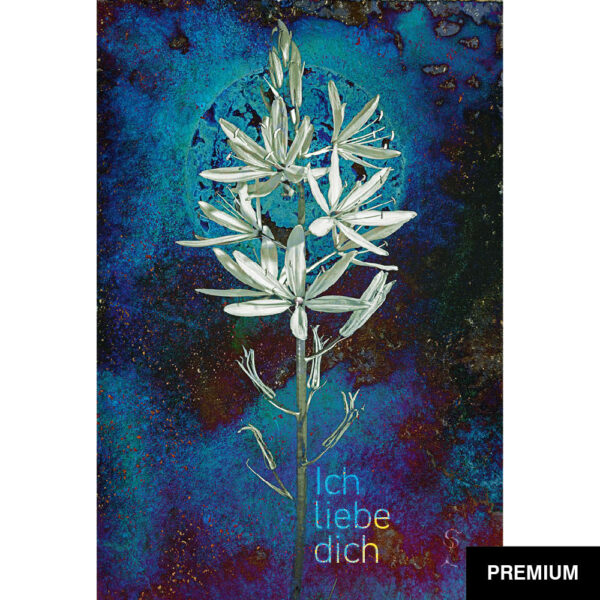 Ole Spannagel #17 | Moonflower; Camassia-Serie; digitale Collage, Valentinstag